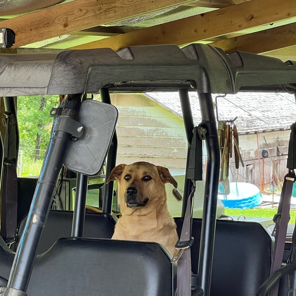 Meet the Posher - Picture 2 of 16